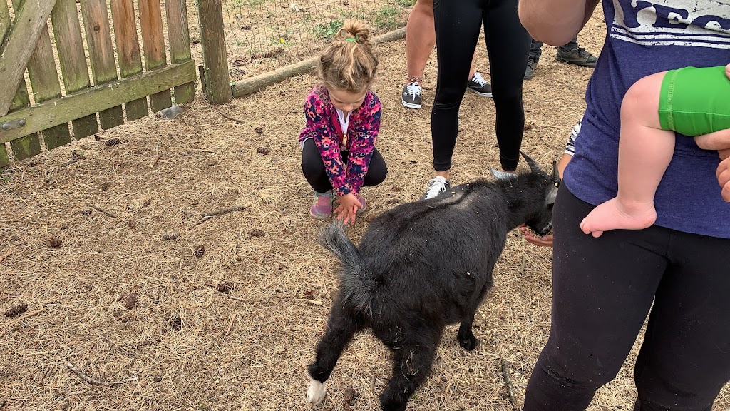 Seaview Game Farm | 1392 Seaview Rd, Black Creek, BC V9J 1J7, Canada | Phone: (250) 337-5182