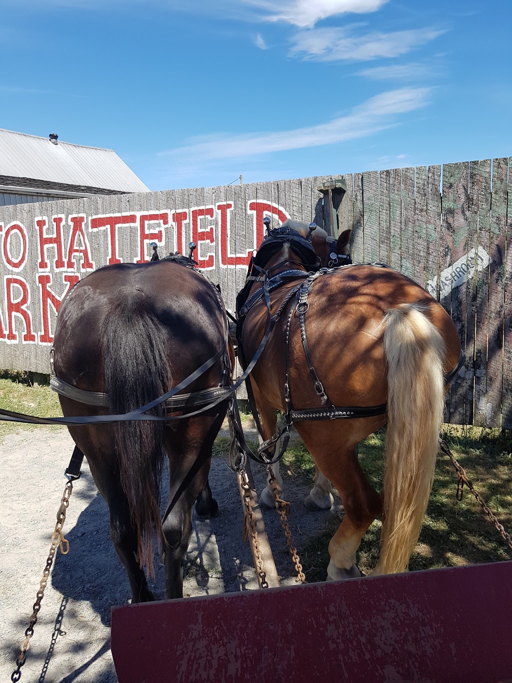 Hatfield Farm | 1840 Hammonds Plains Rd, Hammonds Plains, NS B4B 1P4, Canada | Phone: (902) 835-5676