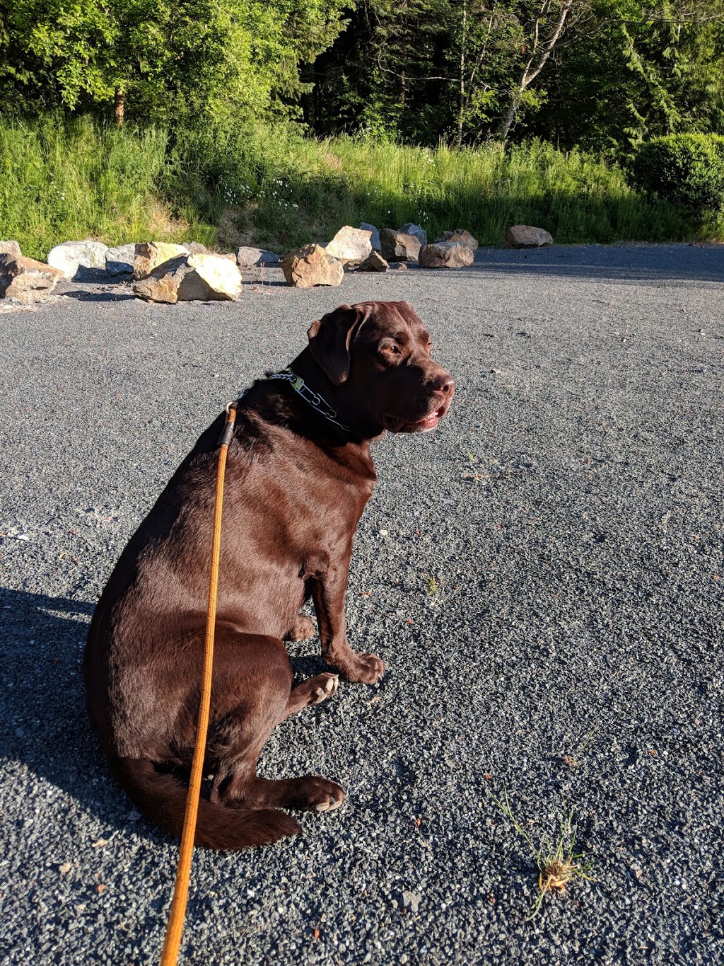 Boulderwood Hill Park | 3G5, Bear Wood Ct, Victoria, BC V8Y 3G5, Canada