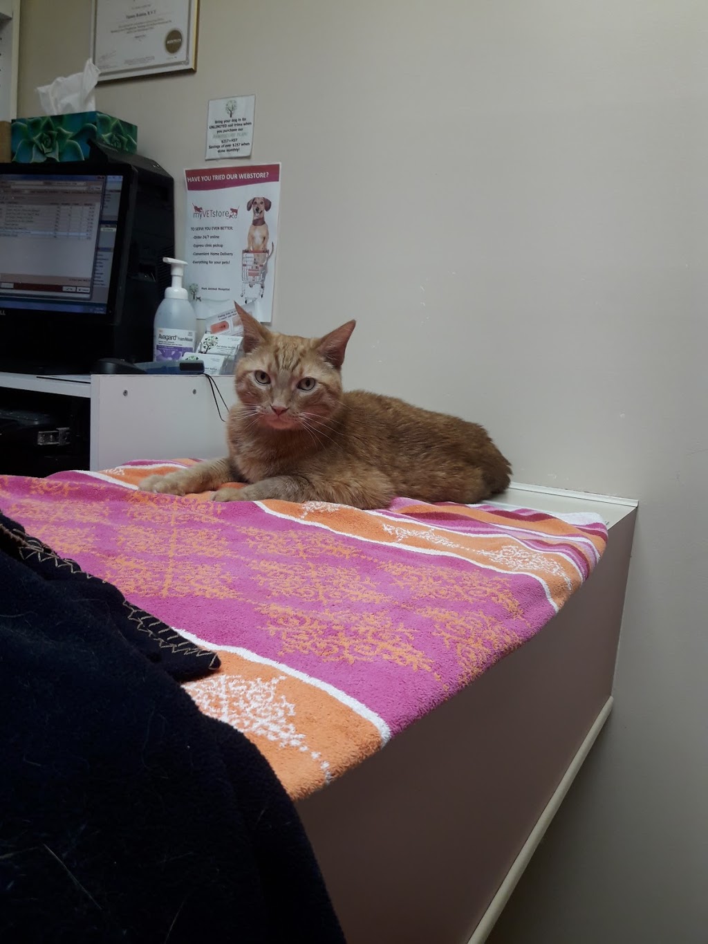 Park Animal Hospital | 1958 Burnhamthorpe Rd E, Mississauga, ON L4X 2S8, Canada | Phone: (905) 625-5222