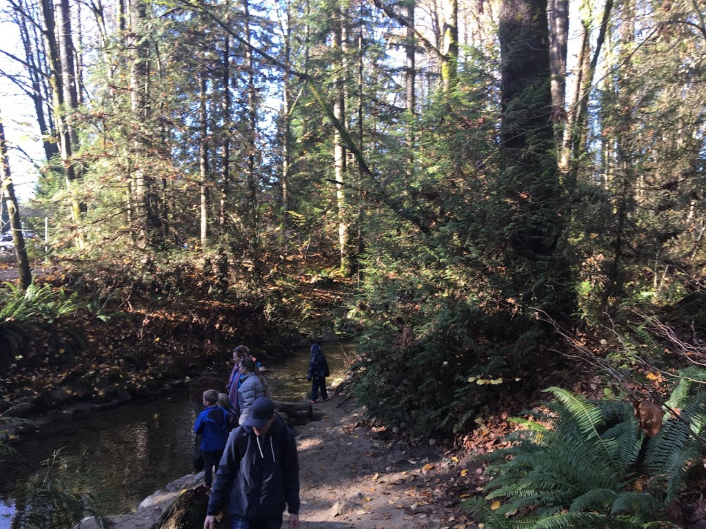 Hyde Creek Watershed Society | 3636 Coast Meridian Rd, Port Coquitlam, BC V3B 0E4, Canada | Phone: (604) 461-3474