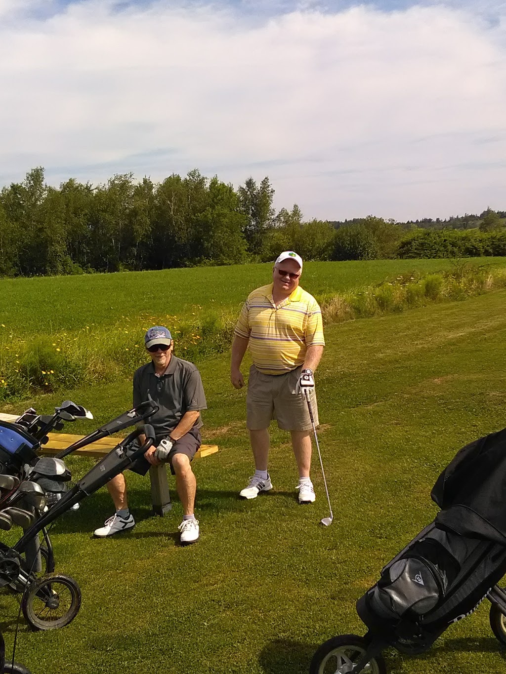 Rosevale Golf Course | 136 Redden Rd, Windsor, NS B0N 2T0, Canada | Phone: (902) 880-8048