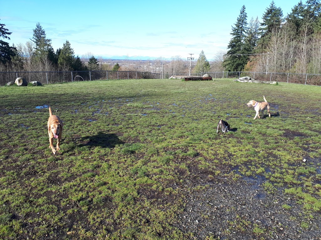 Taylor Park Dog Park | Mission Ave, Burnaby, BC V3N 5G3, Canada