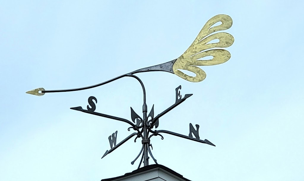 Iro Jive Art Studio | 22Gammon, Lake Drive, Lawrencetown, NS B2Z 1T9, Canada | Phone: (902) 434-4424