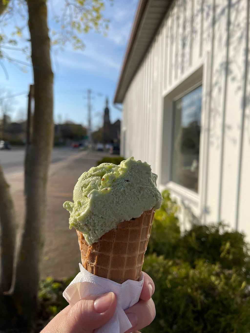 Paris Whats The Scoop? | 20 Mechanic St, Paris, ON N3L 1J9, Canada | Phone: (519) 771-0473