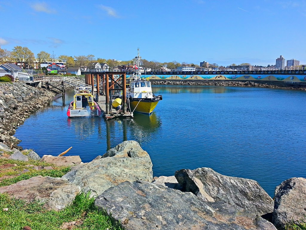Victoria Harbour Ferry | 189 Dallas Rd, Victoria, BC V8V 1A1, Canada | Phone: (250) 708-0201