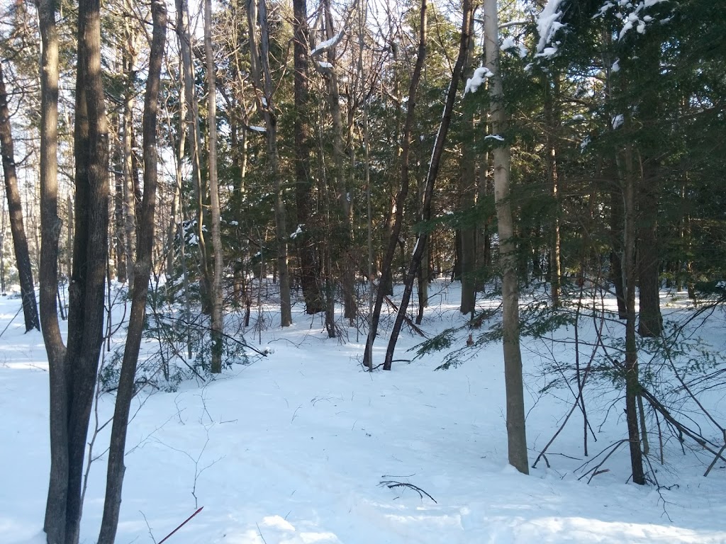 Club de Golf de la Vallée Des Forts | 1145 Chem. du Petit-Bernier, Saint-Jean-sur-Richelieu, QC J3B 6Y8, Canada | Phone: (450) 346-6090
