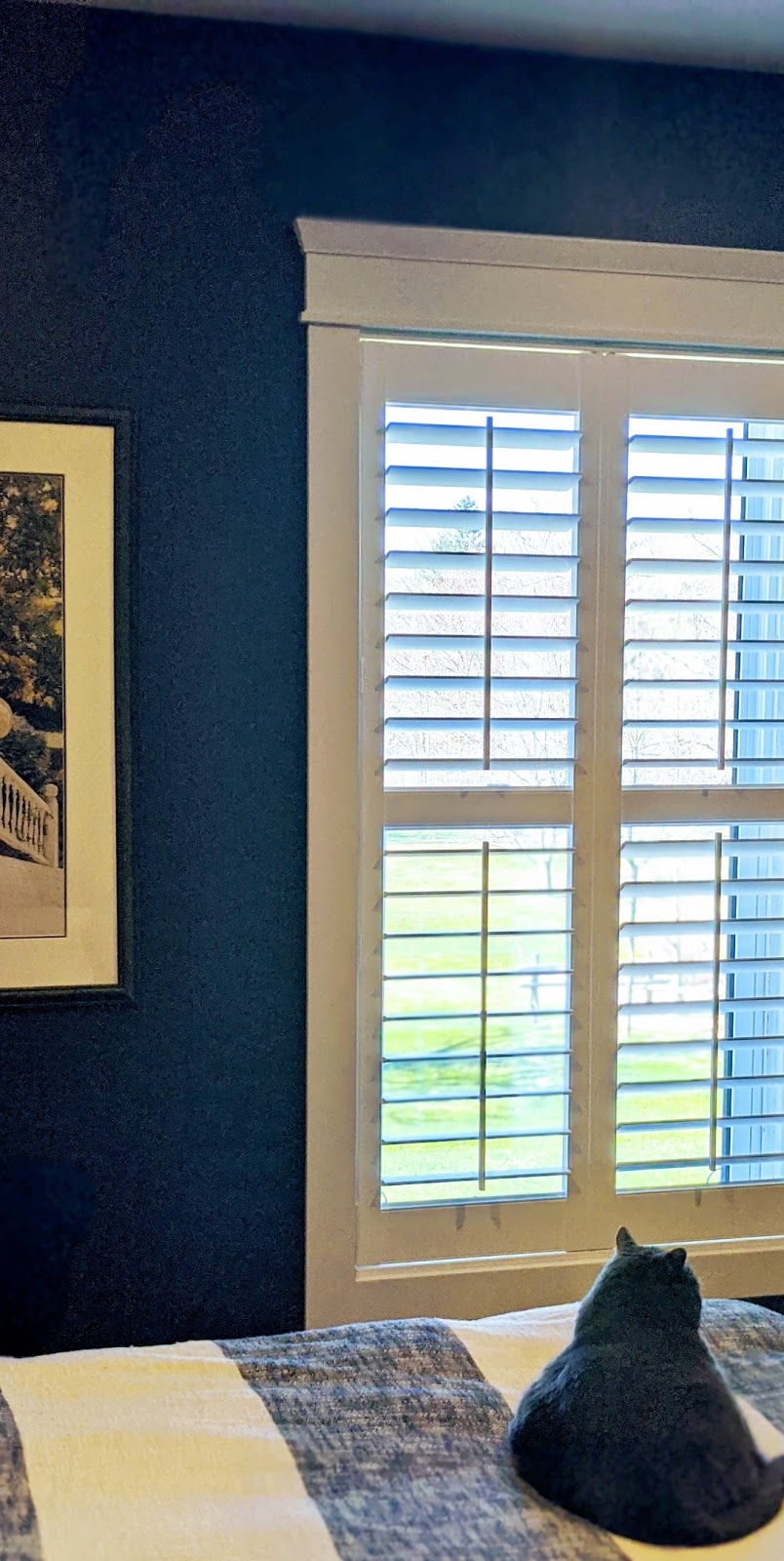 Labadie Blind and Shutter Gallery | 1025 Gainsborough Rd, London, ON N6H 5L4, Canada | Phone: (519) 645-8430
