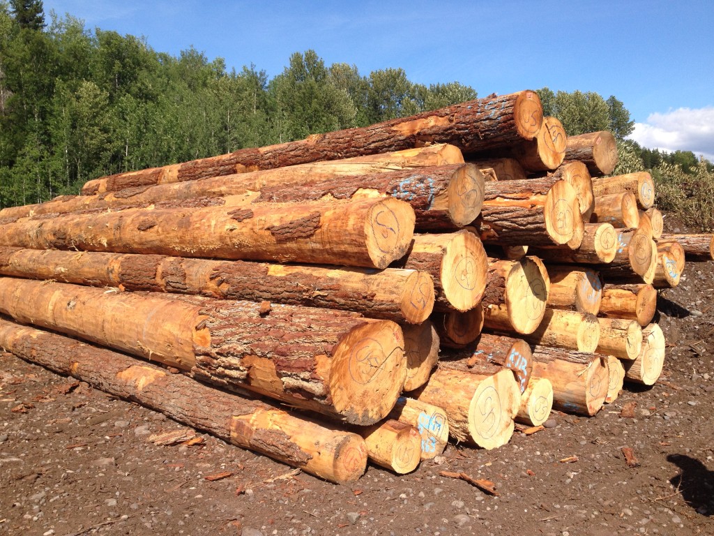 London Forest Products | 11 Ridge Rd, Bancroft, ON K0L 1C0, Canada | Phone: (613) 332-1135