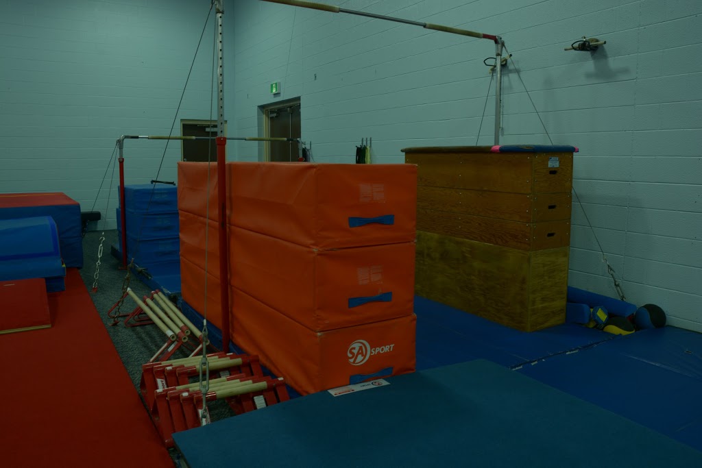 Guelph Saultos Gymnastics | 377 College Ave W, Guelph, ON N1G 4T4, Canada | Phone: (519) 837-3335