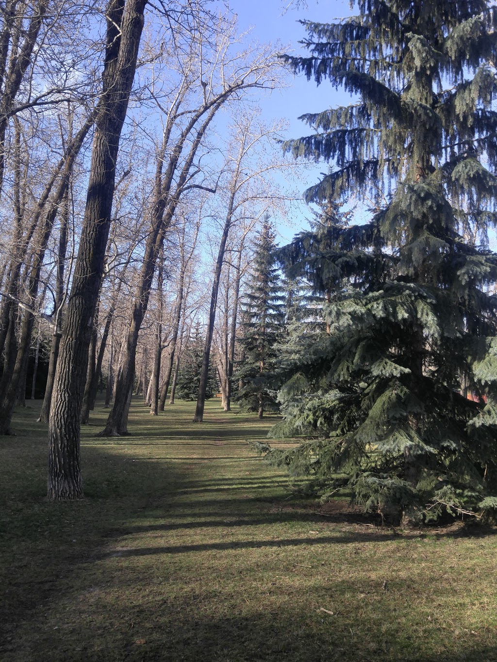 Erlton Park | 2599 Erlton St SW, Calgary, AB T2S 2W2, Canada