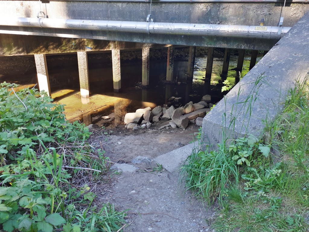Dacre Park | 2884 Dacre Ave, Coquitlam, BC V3C 4H9, Canada | Phone: (604) 927-3000