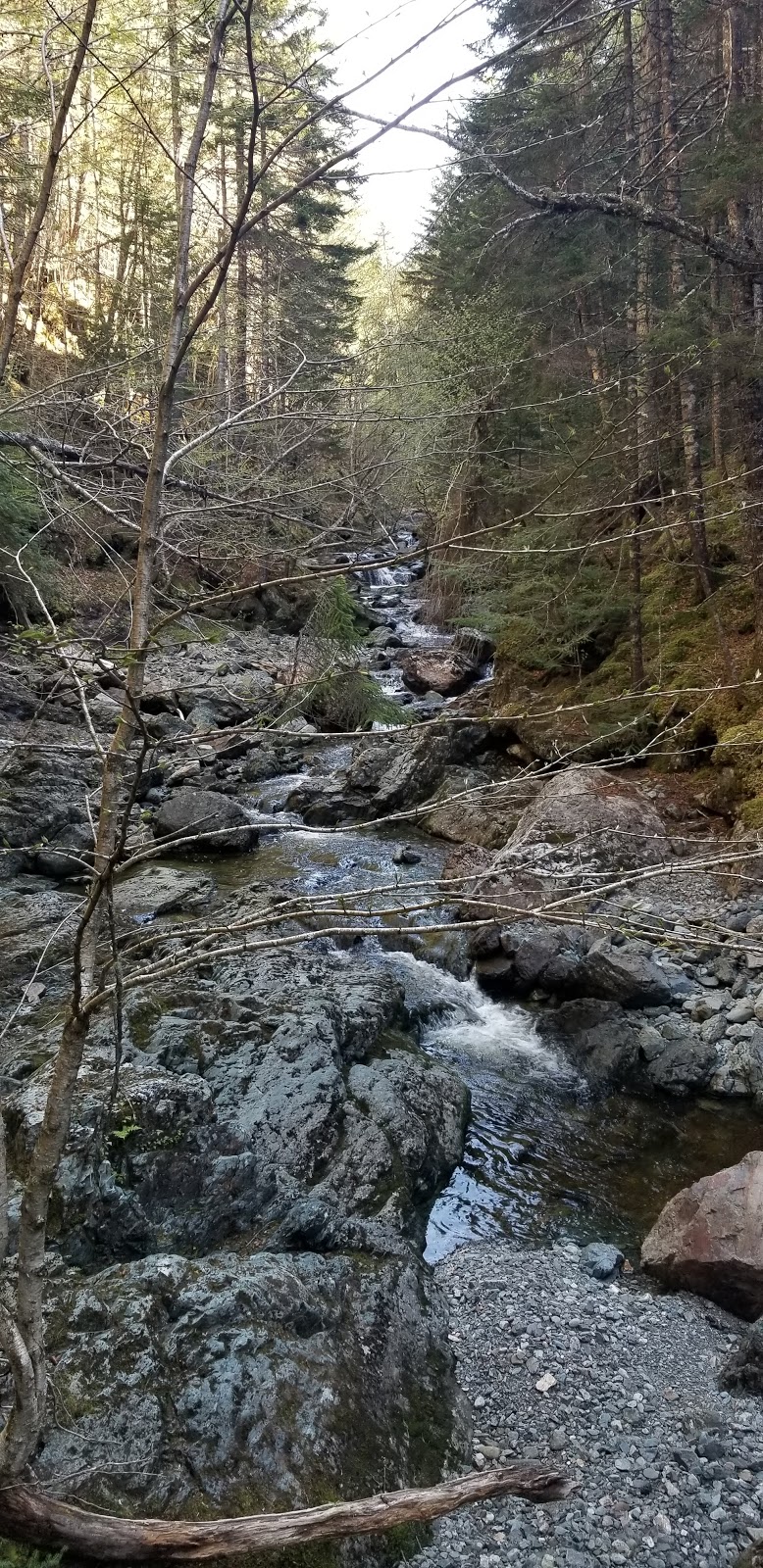 Rapidy Brook - UNESCO Fundy Biosphere Reserve Amazing Place | Saint Martins Parish, NB E5R, Canada | Phone: (506) 874-3272