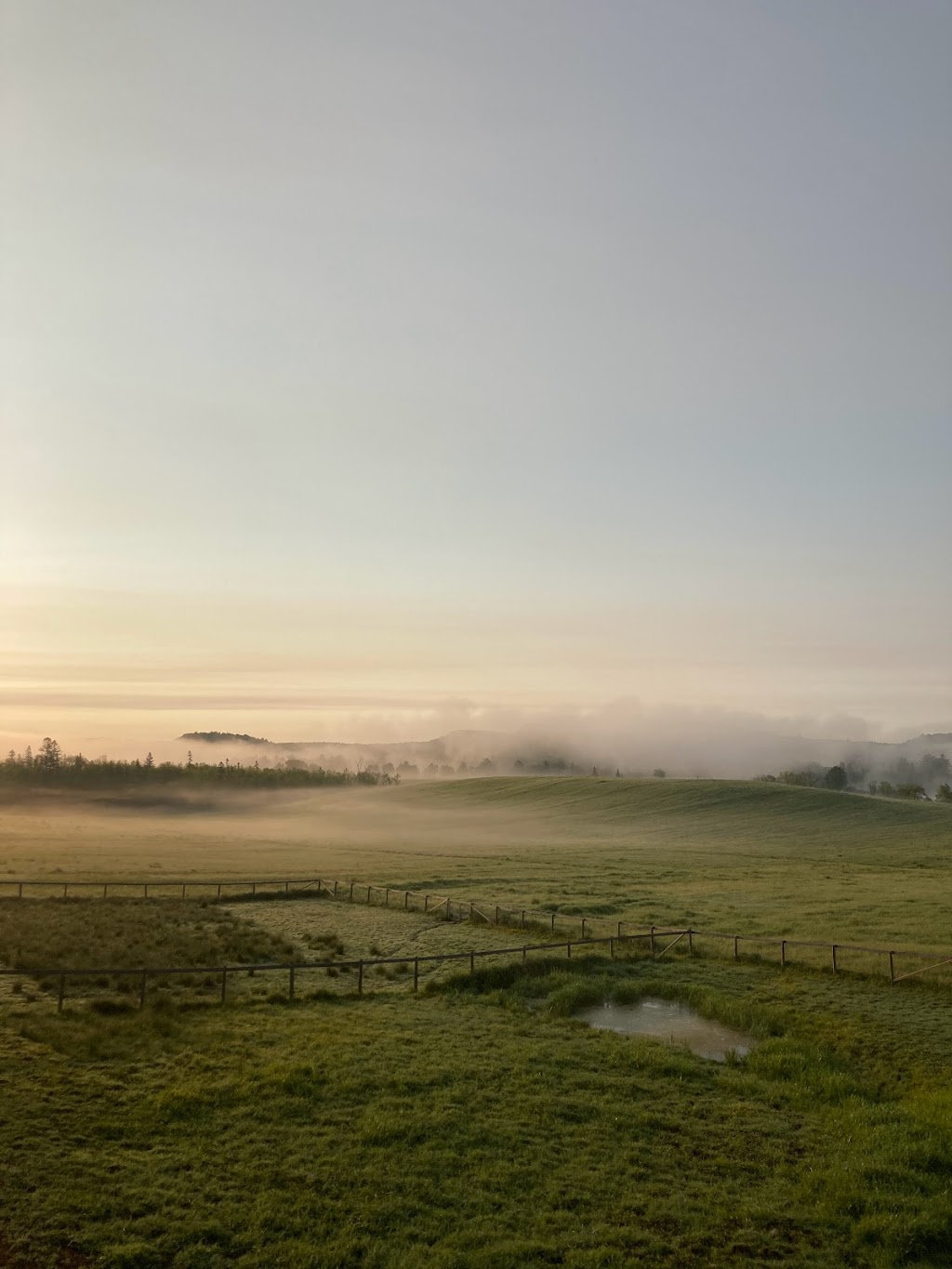 The Peca Farm | 1288 N Mary Lake Rd, Huntsville, ON P1H 2J3, Canada | Phone: (705) 349-3493