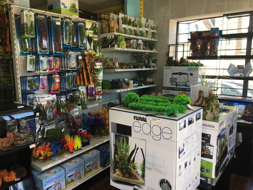 WET PETS AQUARIUMS INC. | 295 Main St E UNIT #4, Milton, ON L9T 1P1, Canada | Phone: (289) 851-2606