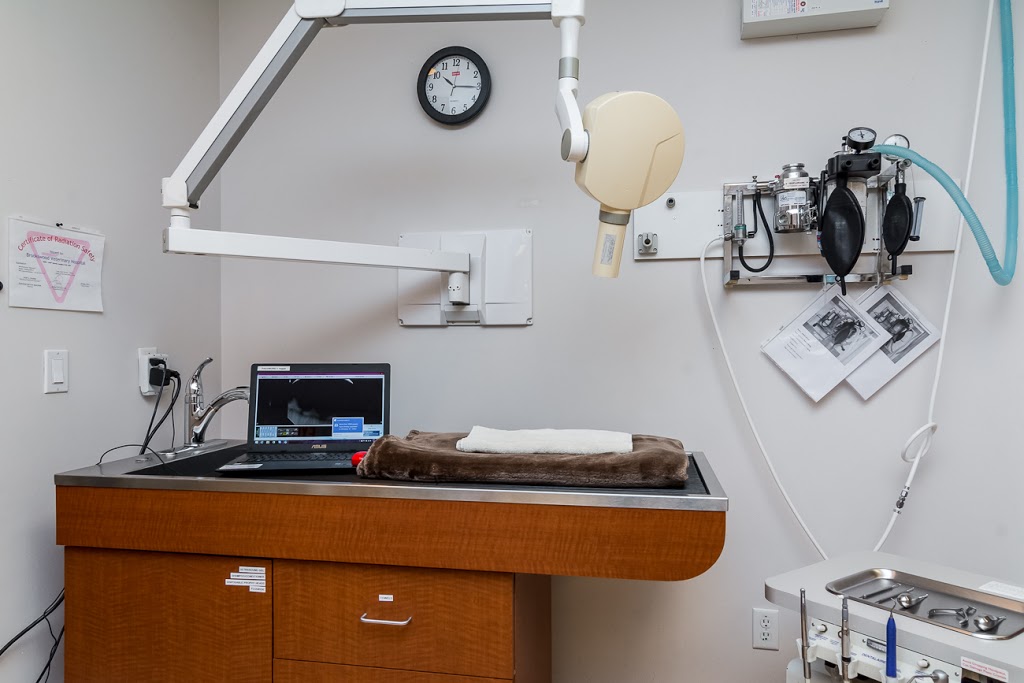 Brookswood Veterinary Hospital | 4059 200 St, Langley City, BC V3A 1K8, Canada | Phone: (604) 534-4174