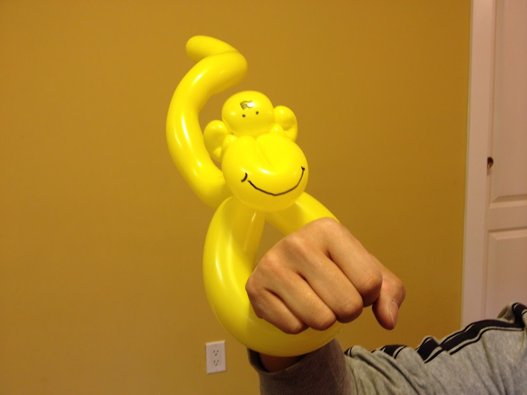 Langley Balloon Twist | 7264 201 St, Langley, BC V2Y 3G3, Canada | Phone: (778) 908-1236
