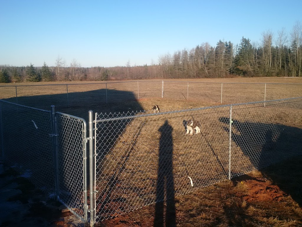 WentWoof | 12387 NS-4, Wentworth, NS B0M 1Z0, Canada | Phone: (902) 956-9049