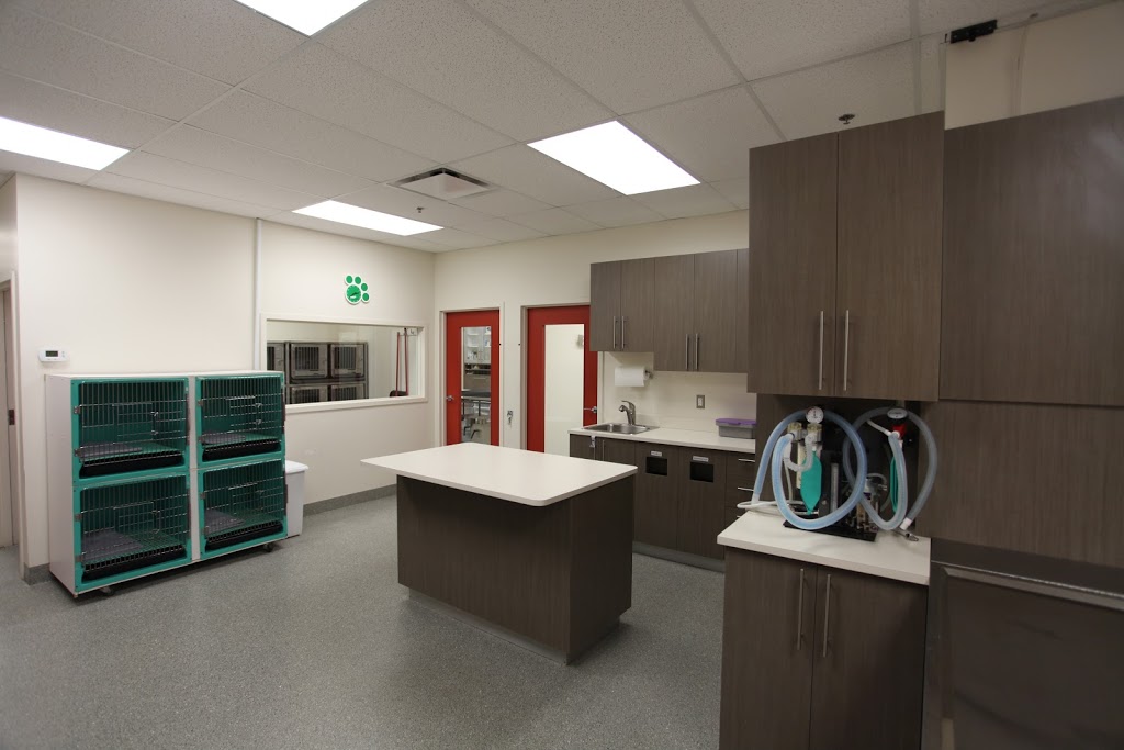 Cimon Veterinary Clinic | 565 Boulevard Wilfrid-Hamel, Québec, QC G1M 3H9, Canada | Phone: (418) 688-4106