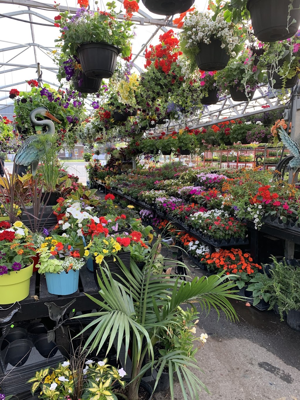 Les jardins M.R. | 1200 Chem. de Saint-Jean, La Prairie, QC J5R 4S4, Canada | Phone: (514) 758-6532