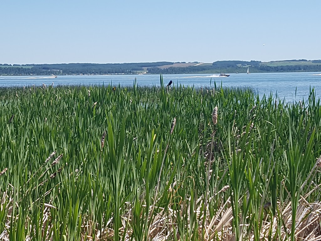 RV Heaven & Marina (Gull Lake) | 12026 Township Rd 422, Rimbey, AB T0C 2J0, Canada | Phone: (403) 843-3888