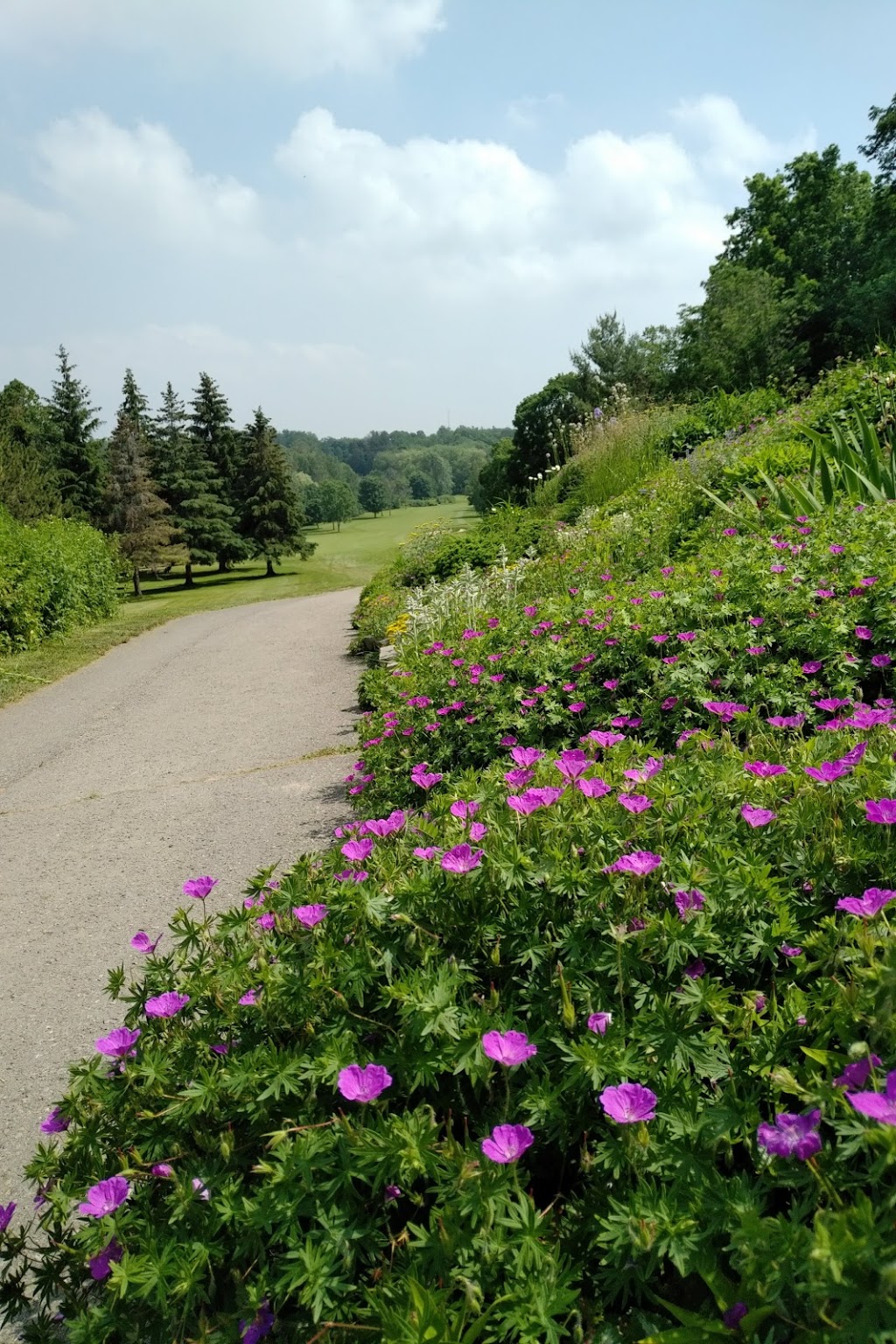 Kawartha Golf & Country Club | 777 Clonsilla Ave, Peterborough, ON K9J 6Z6, Canada | Phone: (705) 743-3737