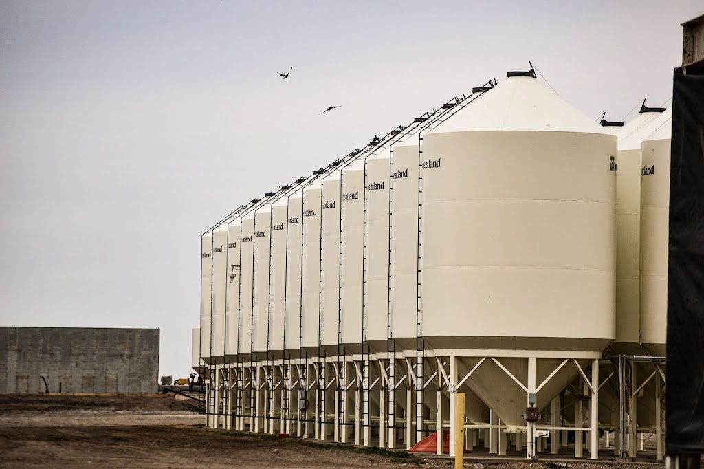 K3 Seeds | 110021, Range Road 20-3, Picture Butte, AB T0K 1V0, Canada | Phone: (403) 738-4517