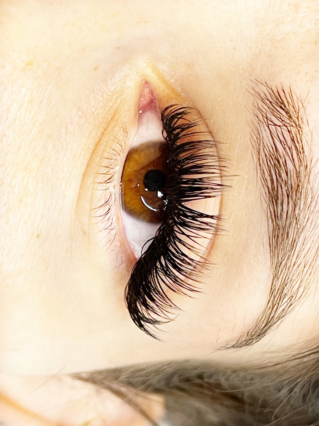 Best Lashes YEG | 1828 Tomlinson Crescent NW, Edmonton, AB T6R 2T4, Canada | Phone: (780) 700-9184