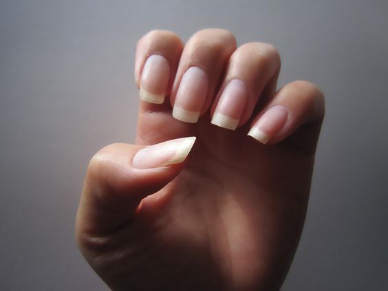 Plei Cosmetics Inc. | 1365 Honeysuckle Ln, Coquitlam, BC V3E 2P1, Canada | Phone: (778) 991-5494
