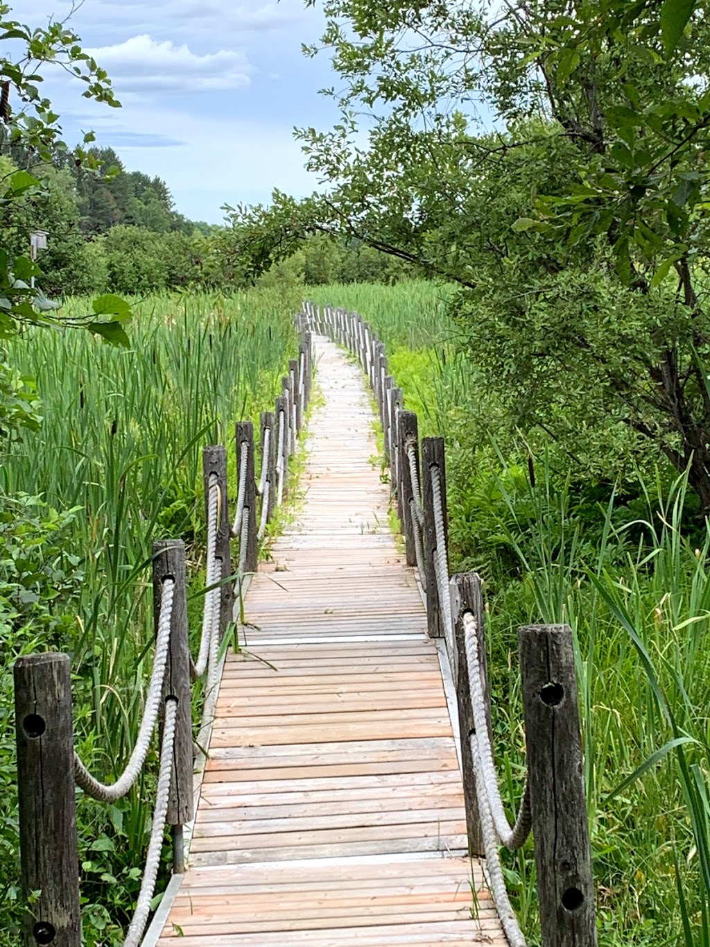 Sentier des Marais | 483 Rue Principale, Piopolis, QC G0Y 1H0, Canada | Phone: (819) 583-3953