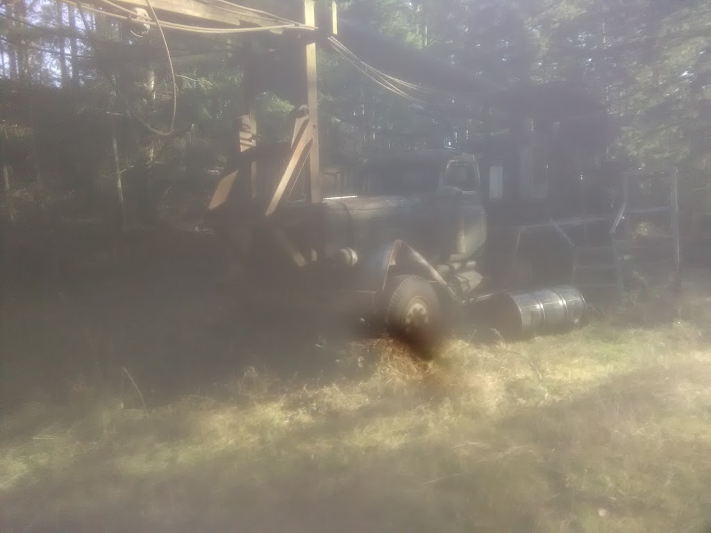 Lummi Island Campground | Lummi Island, WA 98262, USA
