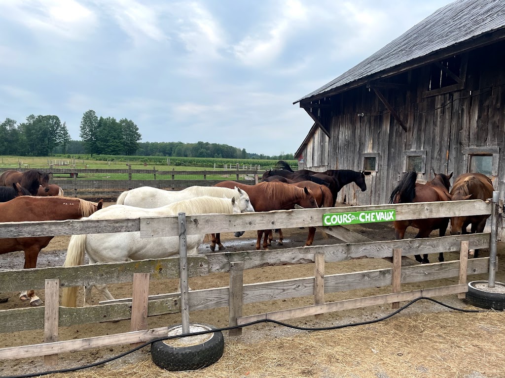La Ferme dAndré 2.0 inc. | 1082 Chem. Upper Concession, Ormstown, QC J0S 1K0, Canada | Phone: (450) 829-2940
