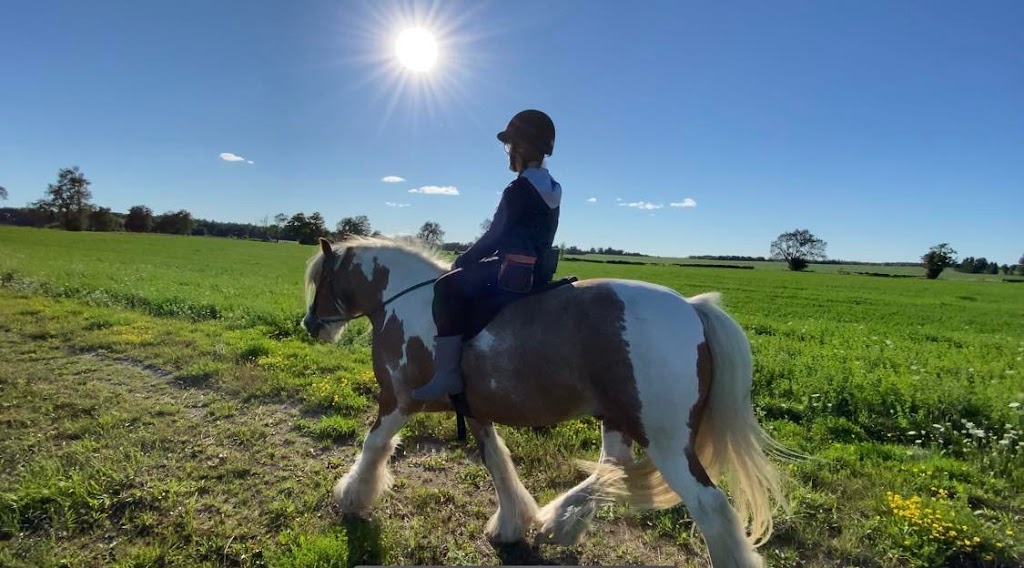 PATH Equestrian | 19726 Mountainview Rd, Caledon East, ON L7K 2G2, Canada | Phone: (226) 808-8212