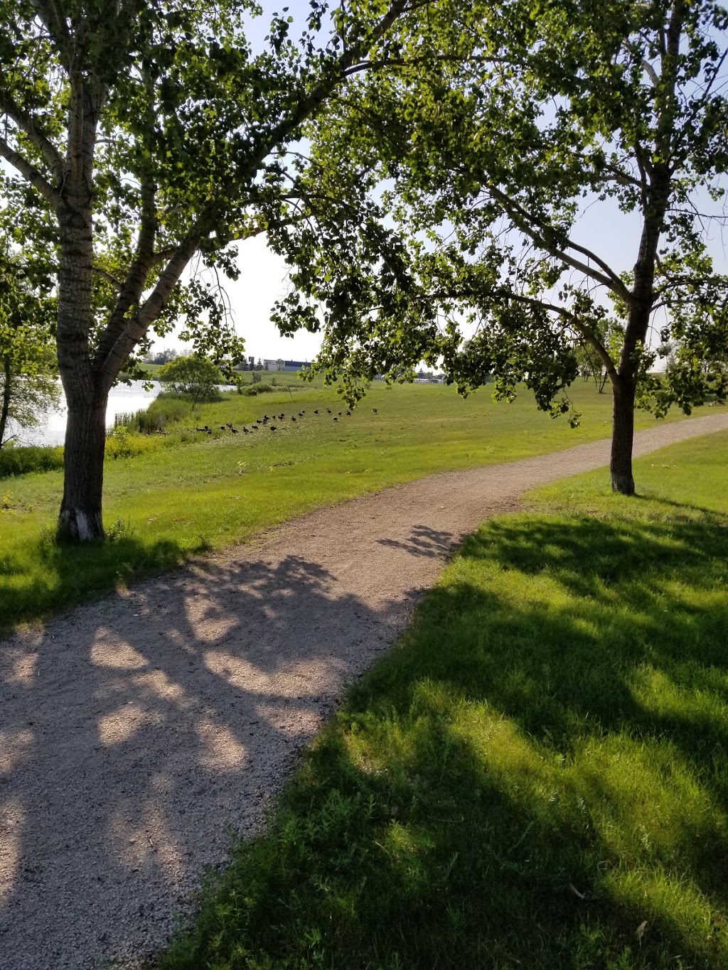 Woodsworth Park | Oak Point Highway, Winnipeg, MB R2R, Canada