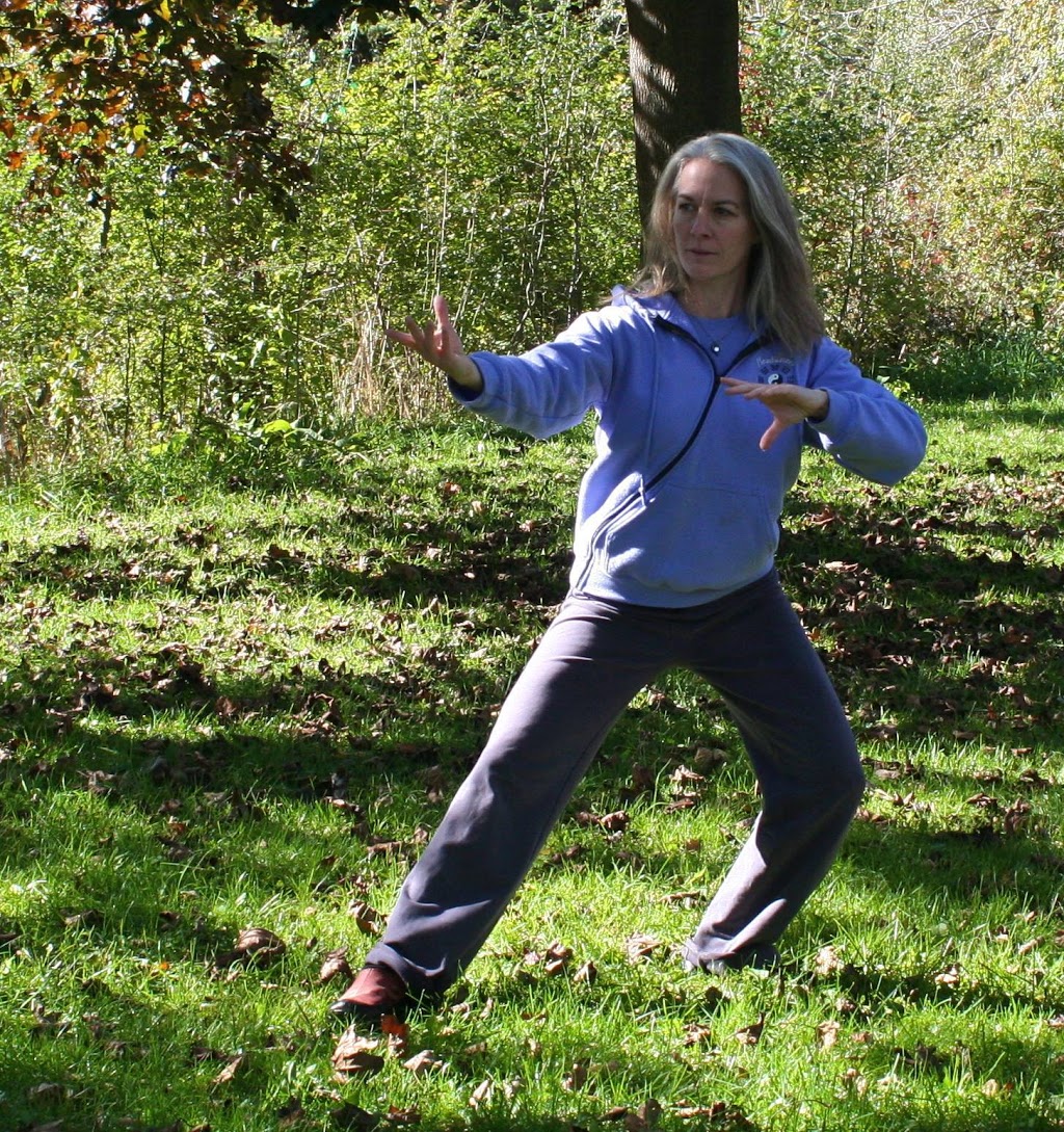 Taiji Training | 3548 St Johns Sideroad, Whitchurch-Stouffville, ON L4A 2T5, Canada | Phone: (519) 217-7068