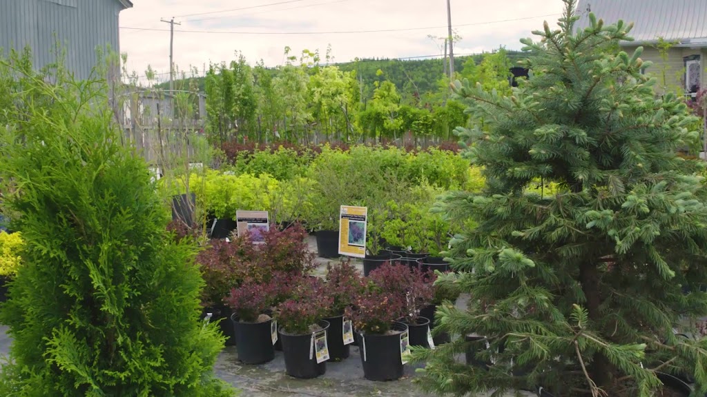 Les Serres Bernier Inc | 221 QC-132, Saint-Simon-de-Rimouski, QC G0L 4C0, Canada | Phone: (418) 738-2283