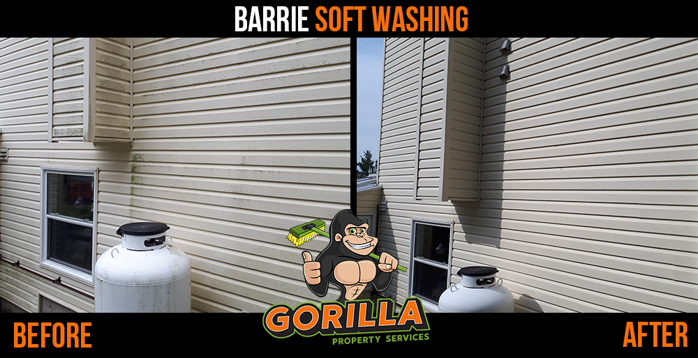 Gorilla Property Services | 65 Cedar Pointe Dr Ste 247, Barrie, ON L4N 9R3, Canada | Phone: (705) 805-0244