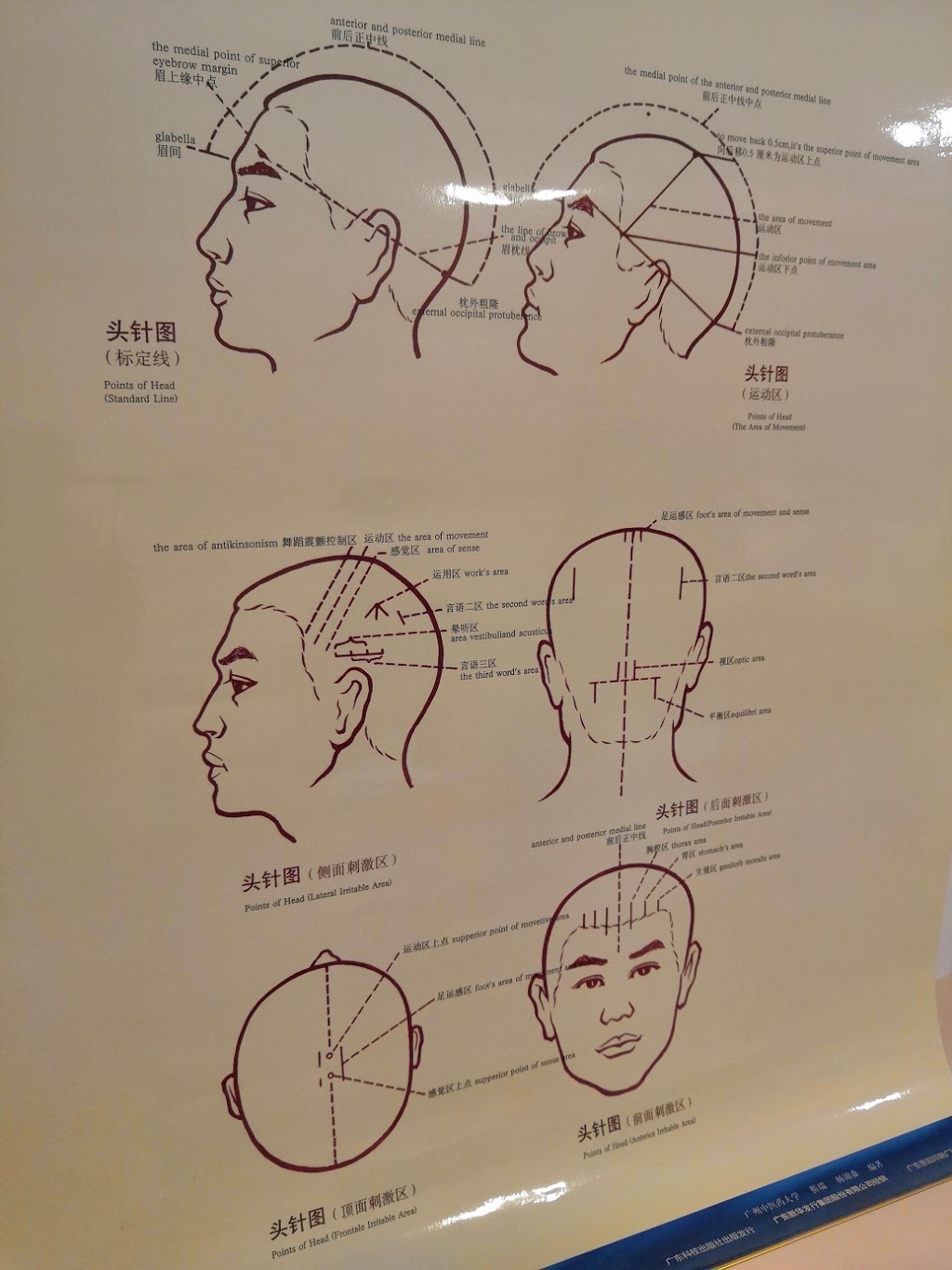 Burnaby South Acupuncture Center | 7777 Royal Oak Ave #102, Burnaby, BC V5J 4K2, Canada | Phone: (604) 721-9117