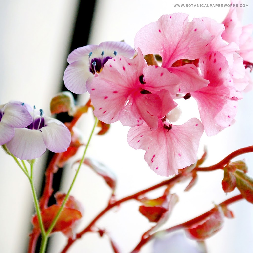 Botanical PaperWorks | 111 Pacific Ave, Winnipeg, MB R3B 0M1, Canada | Phone: (877) 956-7393