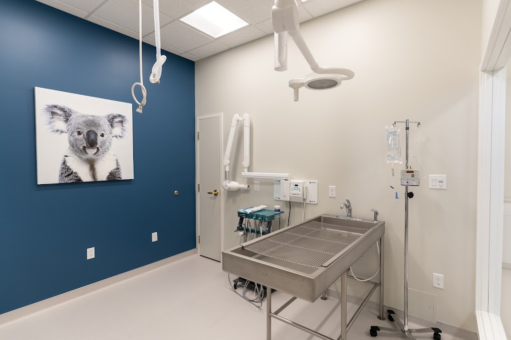 WestVets Animal Hospital | 876 Heritage Blvd W Unit 150, Lethbridge, AB T1K 8G1, Canada | Phone: (587) 425-6733