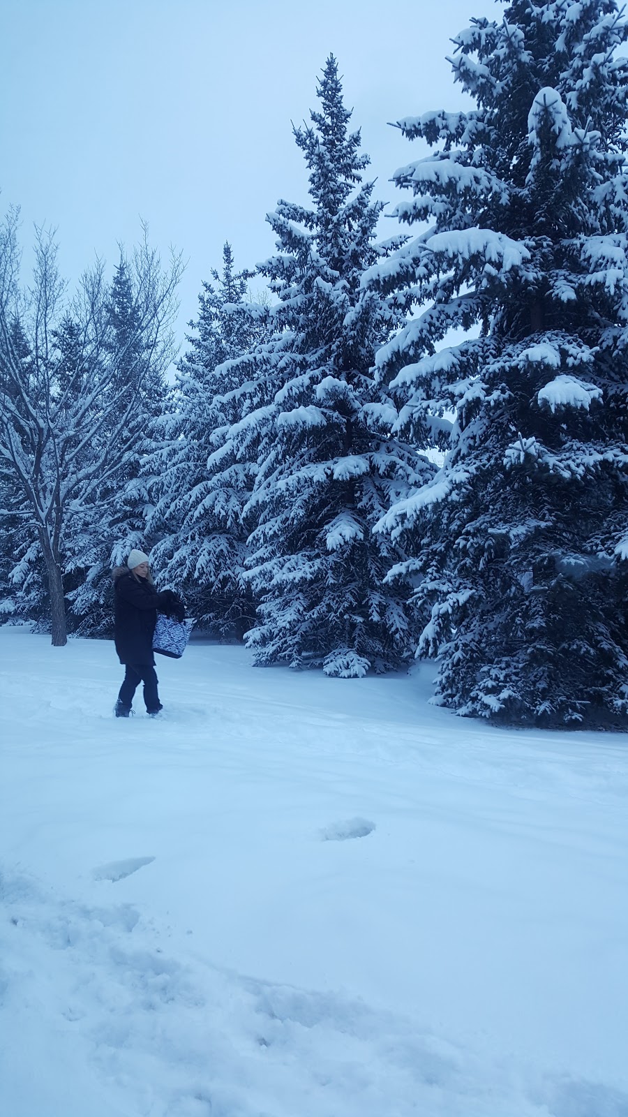 Woods Park | Southwest Calgary, Calgary, AB T2S, Canada