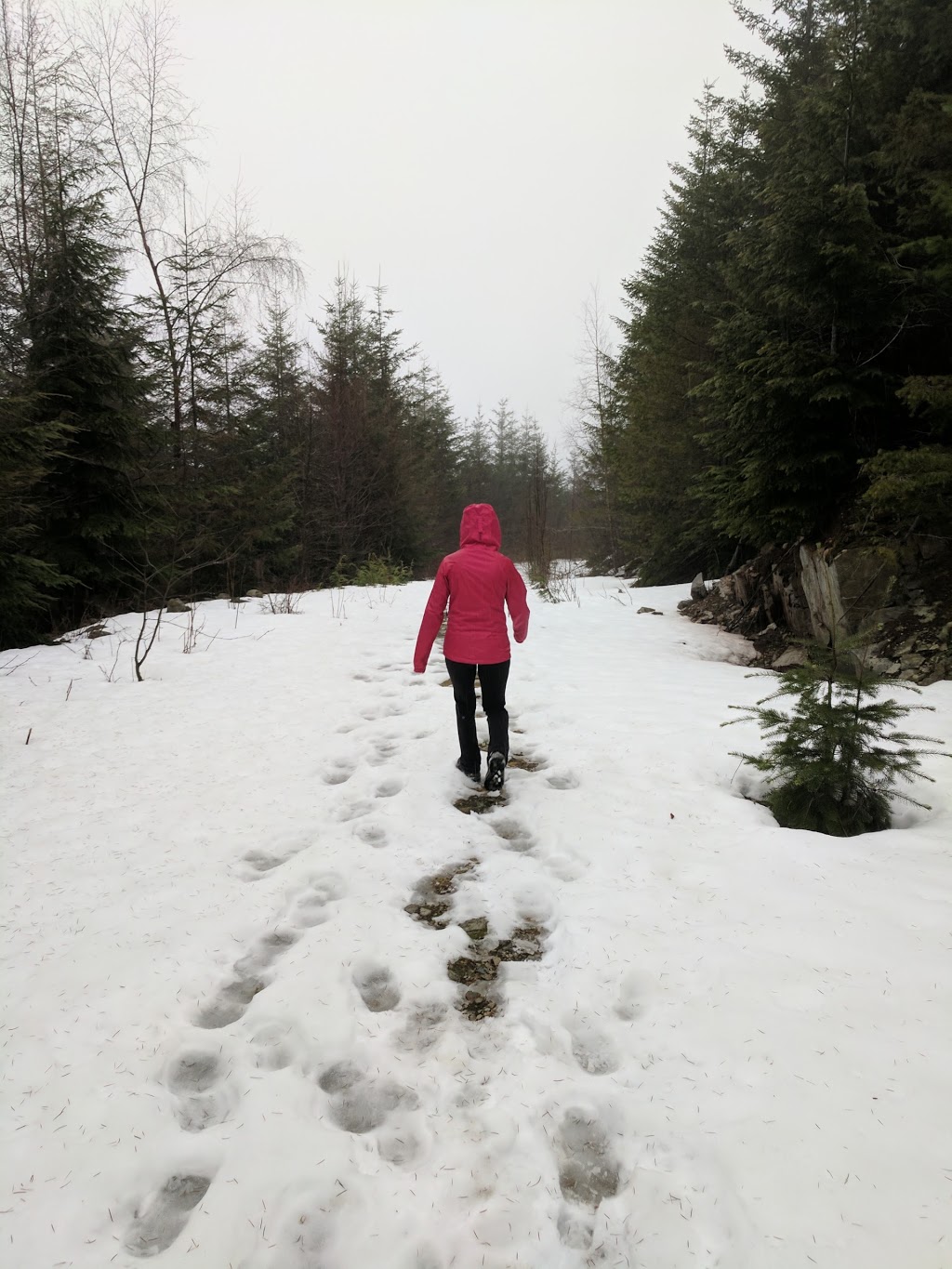 Sumas Mtn Upper Lot | Fraser Valley G, BC V3G 2L3, Canada