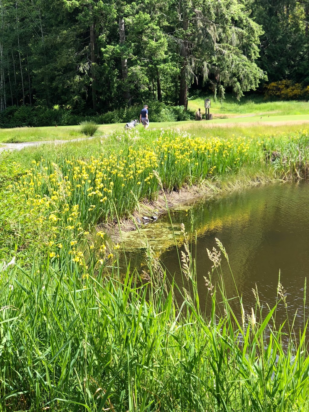 Olympic View Golf Club | 643 Latoria Rd, Victoria, BC V9C 3A3, Canada | Phone: (250) 474-3673