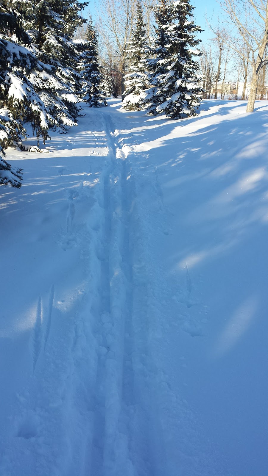Creeks Crossing Park | 38a Ave NW, Edmonton, AB T6L 6R5, Canada