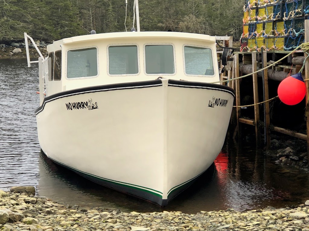 Sober Island Boat Tours | 73 Levys Rd, Sheet Harbour, NS B0J 3B0, Canada | Phone: (902) 817-5389