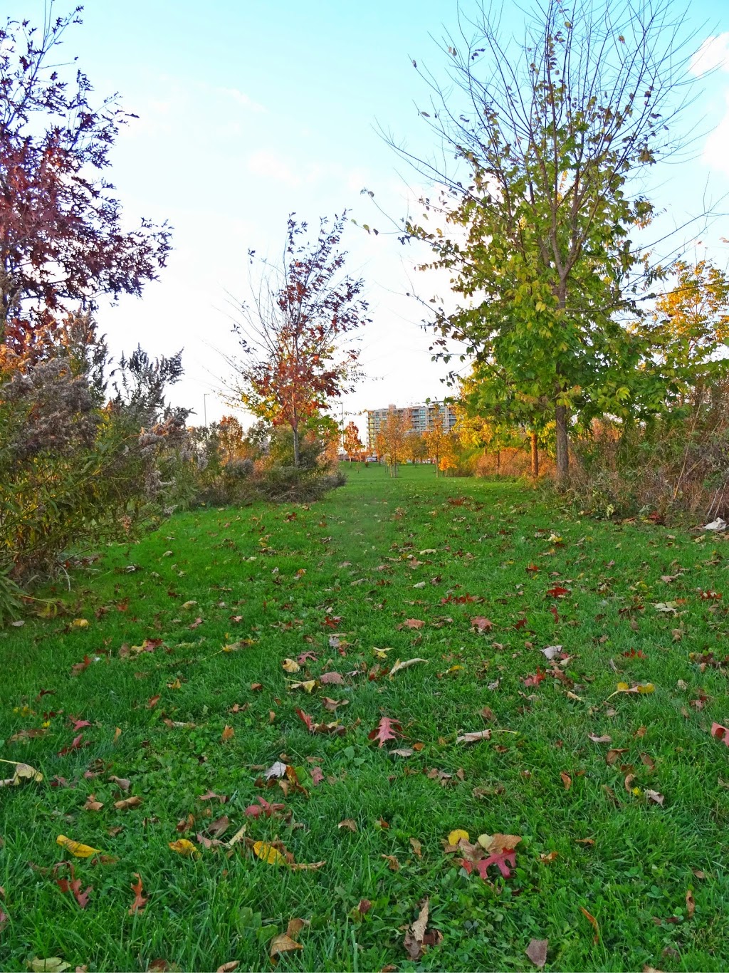 Banting Park | 40 Banting Ave, Toronto, ON M3H 2M5, Canada