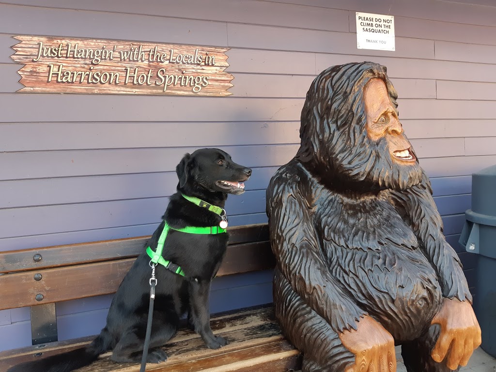 Harrison Village Mall | 101 Hot Springs Rd, Harrison Hot Springs, BC V0M 1K0, Canada