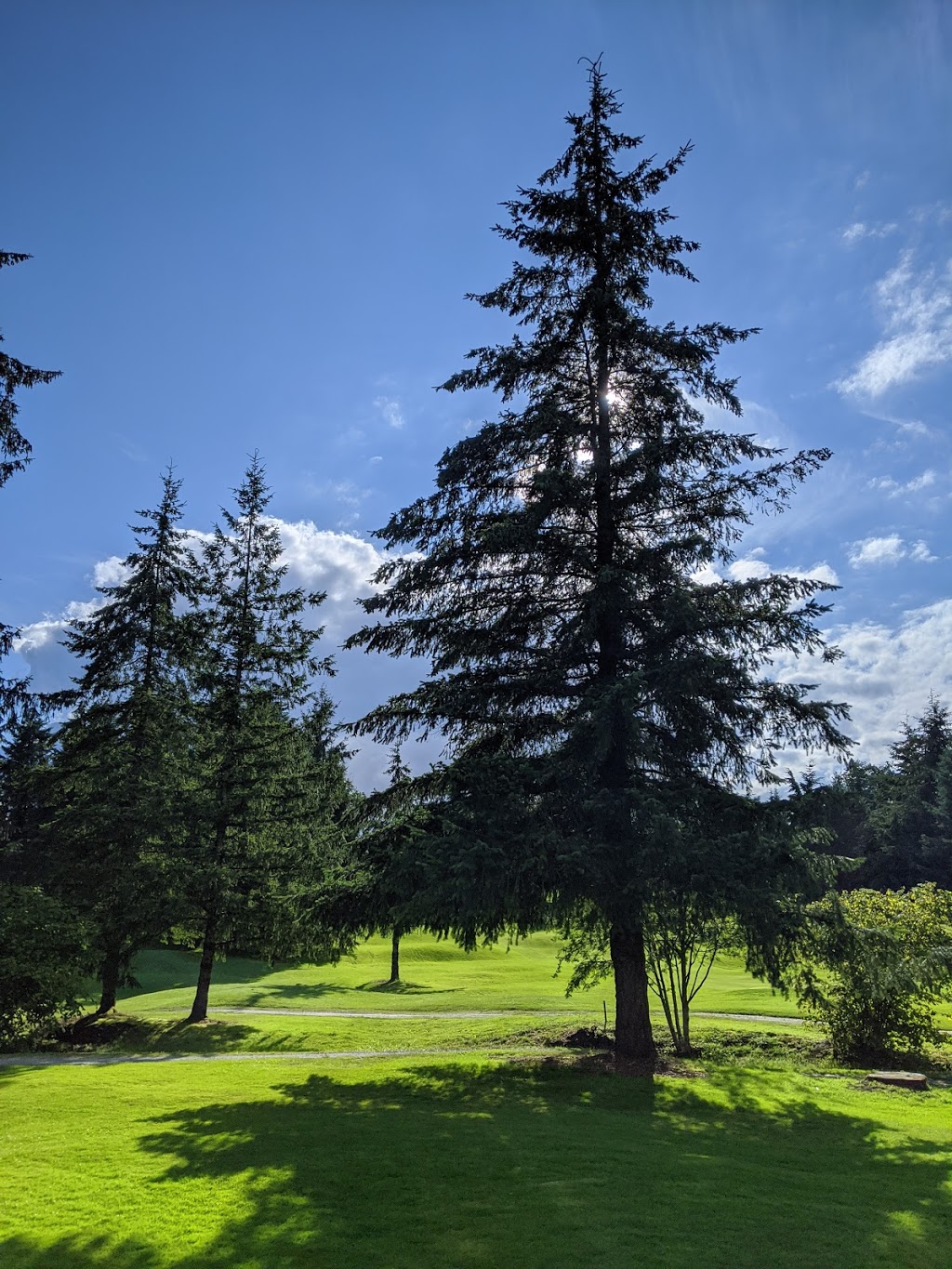 Maple Ridge Golf Course | 20818 Golf Ln, Maple Ridge, BC V2X 1M2, Canada | Phone: (604) 465-9221