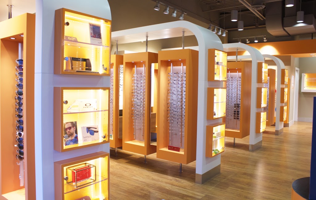 The Vision Gallery | 4931 167 Ave NW, Edmonton, AB T5Y 0S4, Canada | Phone: (780) 705-2015