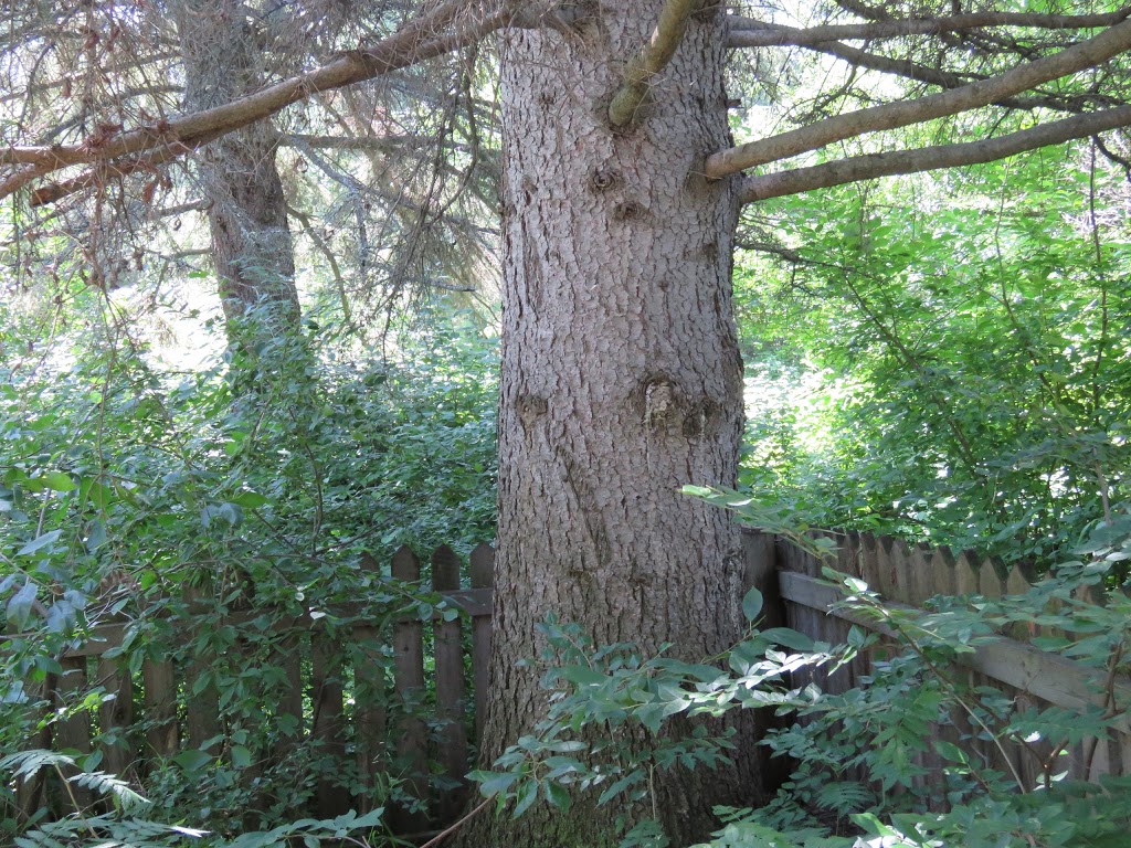 George Pegg Botanic Garden | 56015 Range Rd 43, Glenevis, AB T0E 0X0, Canada | Phone: (780) 203-0331